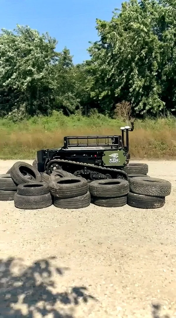 MAX1 in a defence configuration